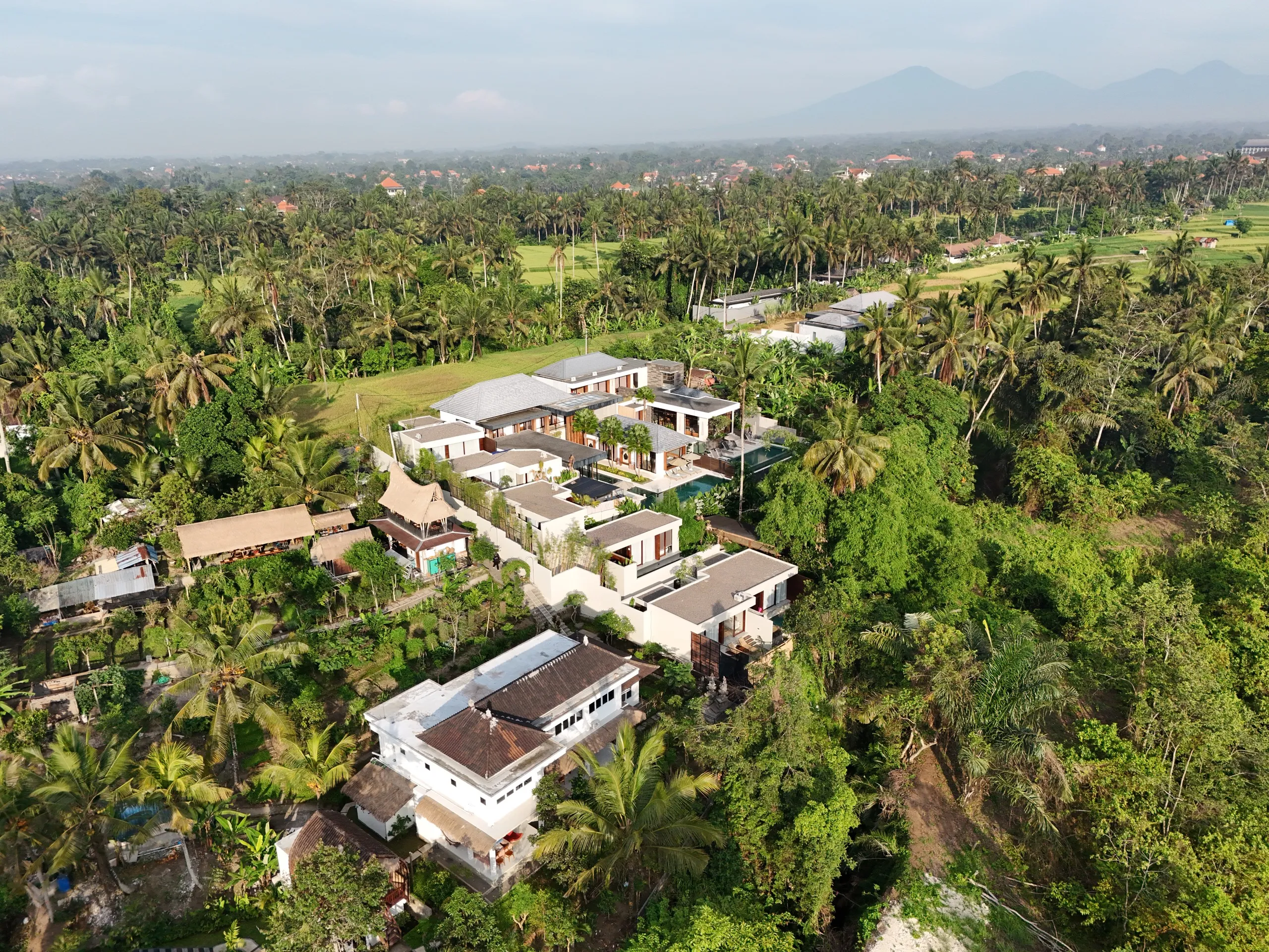 Foto udara kompleks villa di Peliatan, Ubud, di antara pohon kelapa dengan gunung di latar.